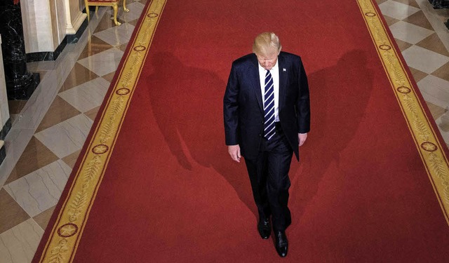 Donald Trump macht mchtig Dampf, ist ...nde doch auf den Kongress angewiesen.   | Foto: AFP