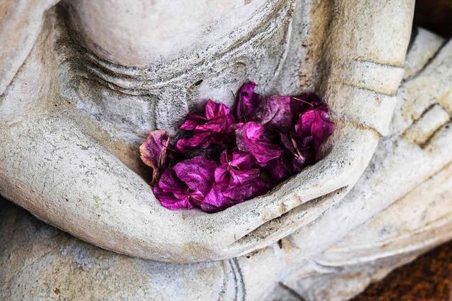 Vortrag: Wie bringt man Buddhismus in den Alltag?