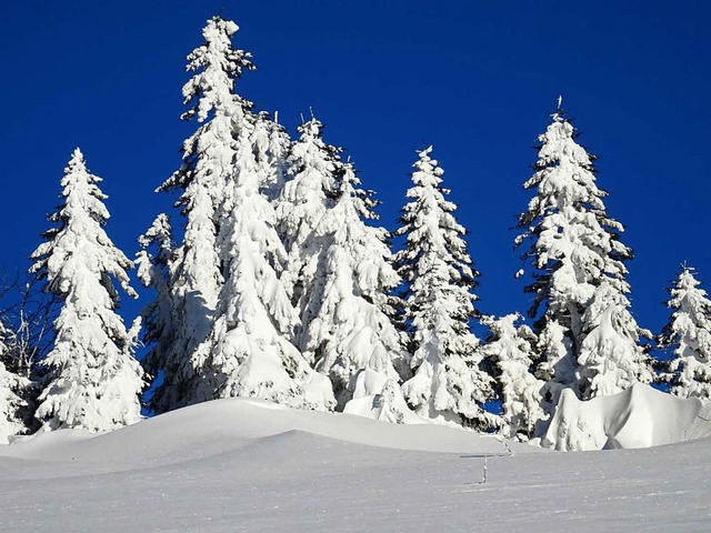 Winterwunderland bescherte der Januar dem Hochschwarzwald.   | Foto: Paul G. Wiesenberg