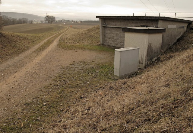 Einer der Bad Bellinger Hochbehlter, ...des alten Gemarkungsgrenzsteins steht.  | Foto: Jutta Schtz