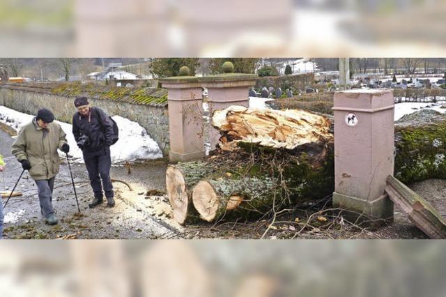 Millimeterarbeit am Schnauer Friedhof