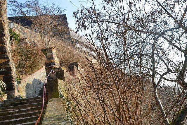 Weitere Hang- und Felsflchen am Breisacher Mnsterberg sollen gesichert werden