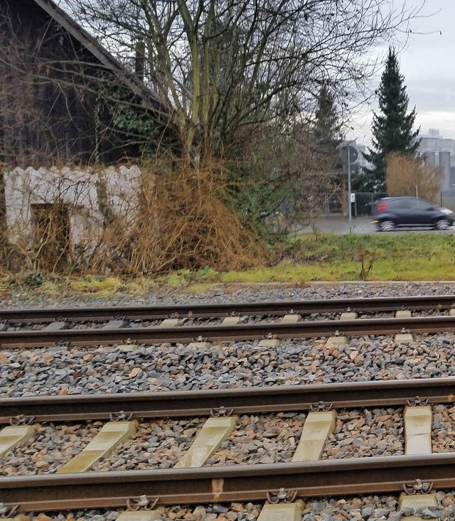 Bahngleise im Hornacker ohne Zaun oder Absperrung  | Foto: ZVG