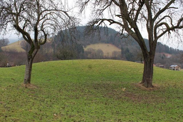 Reste einer Burg stoppen ein geplantes Baugebiet