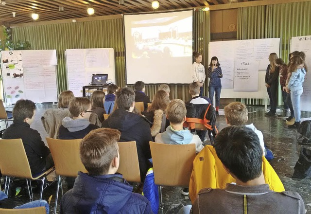 Politiktag in Waldkirch.  | Foto: Schulen