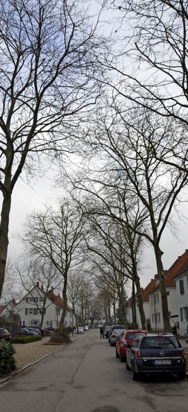 Im Bereich der Kaiser- und Marktstrae... in den nchsten beiden Wochen bevor.   | Foto: SENF