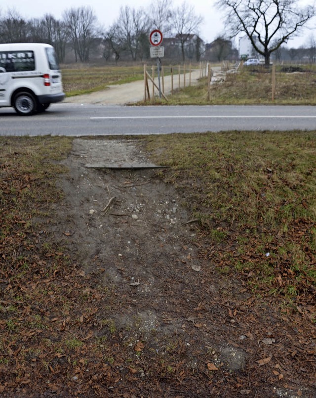 Den krzesten Weg von Haltingen in Ric...rium soll es auf Dauer nicht bleiben.   | Foto: SENF