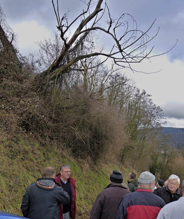 Flurbegehung HeimbachHier droht ein Baum umzustrzen.  | Foto: Aribert Rssel