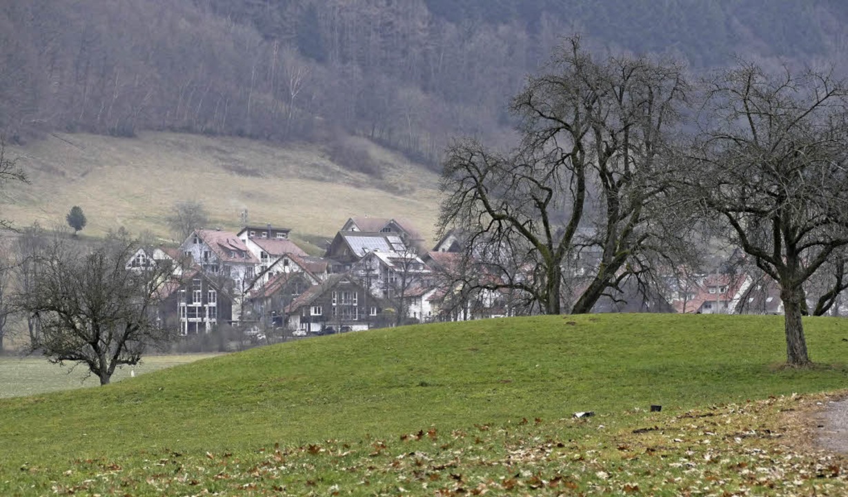 Unter diesem Hgel in Oberried befinde...iner mittelalterlichen Turmhgelburg.   | Foto: Markus Donner