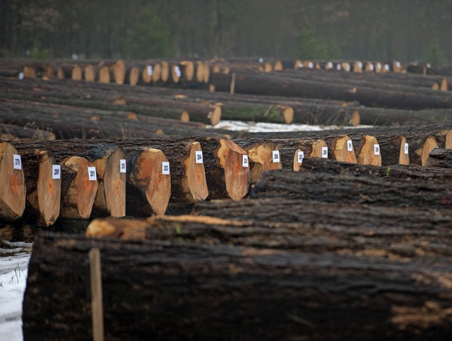 Holz ist derzeit gut zu verkaufen, nur nicht an die Industrie.   | Foto: dpa