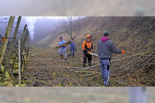 Einsatz fr den Erhalt von Biotopen