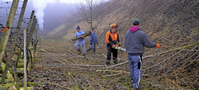 Sasbach. Die Helfer bei der Bschungspflege in Sasbach.  | Foto: Roland Vitt