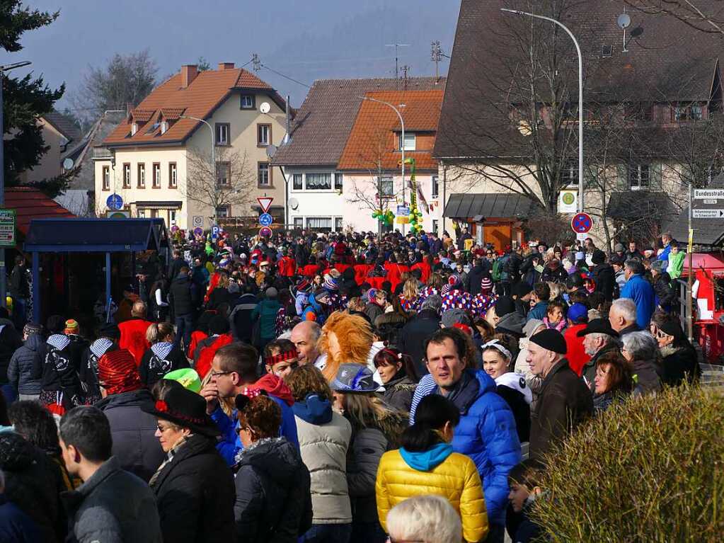 2400 Hstrger, Blaskappeln, Guggemusiken und Narrencliquen verwandelten Zarten beim Jubilum der Schlangenzunft in einen wahrhaftigen Hexenkessel.