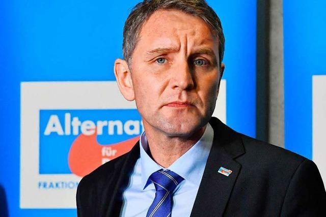 AfD-Vorstand will Hcke doch aus der Partei werfen