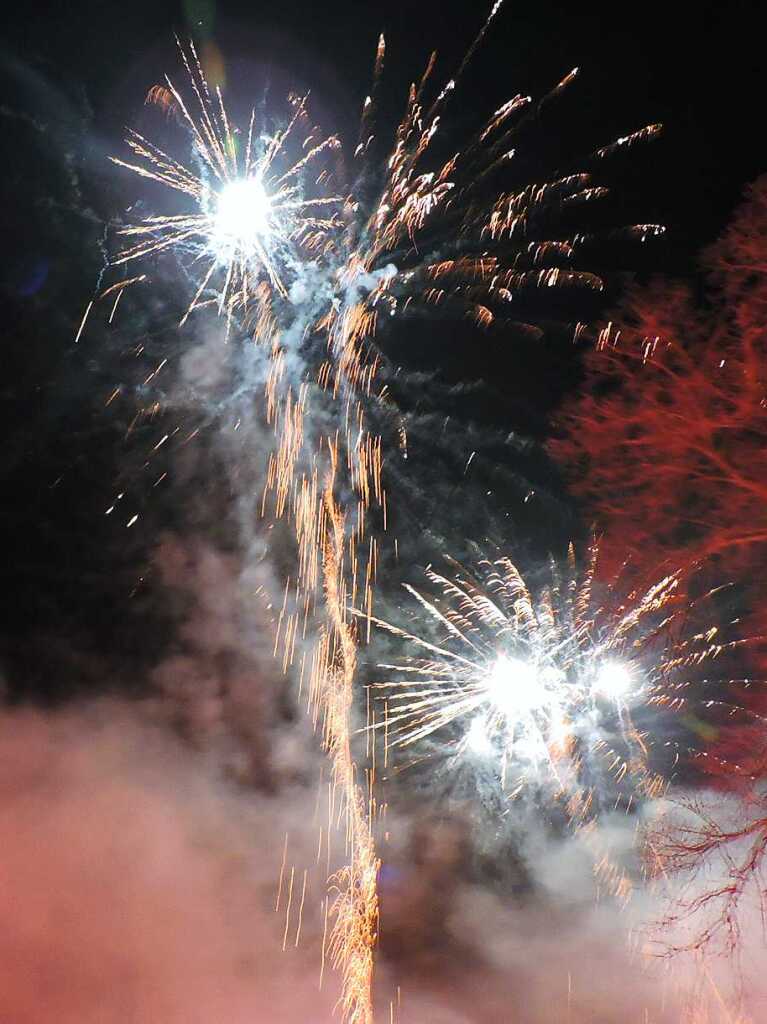 Impressionen vom Fackelumzug: Feuerwerk am Narrenbrunnen