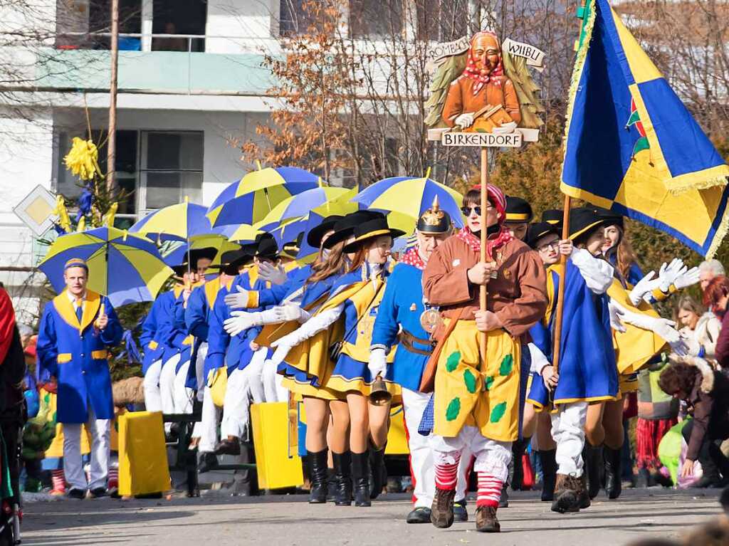 Festumzug zum 37. Kleggau Narrentreffen in Birkendorf