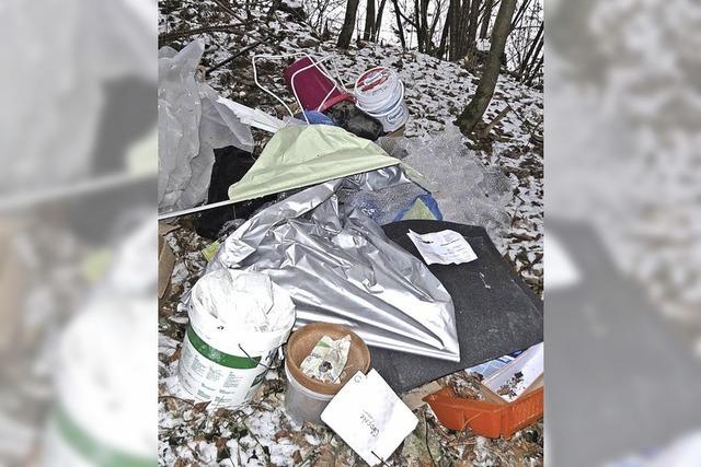 Dreiste Mllablagerungen im Wald