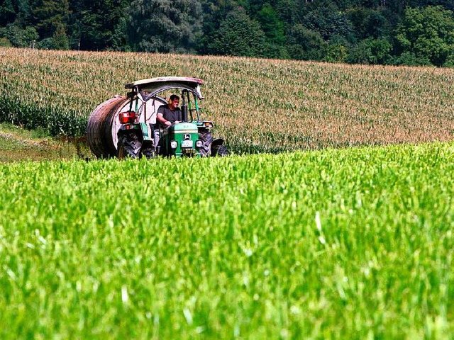 Biobauer bei der Arbeit   | Foto: DPA