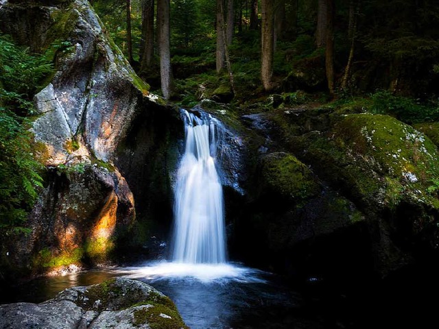 Wasserfall im Sdschwarzwald  | Foto: Carlotta Huber
