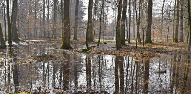   | Foto: Dieter Erggelet