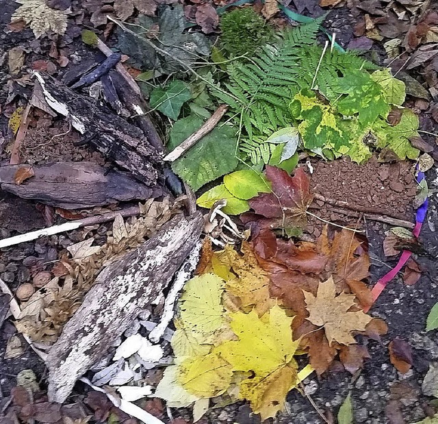 Mit den Farben der Natur und wie man s...t sich ein Kurs von Sylvia Kammermeyer  | Foto: S. Kammermeier