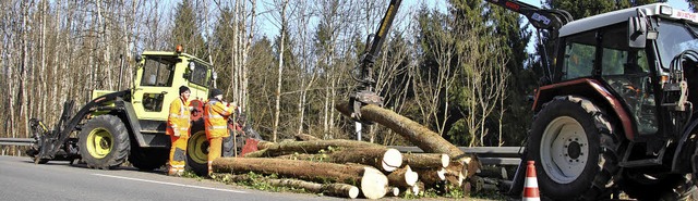 Die groe Rodung hangabwrts ist zwisc...ch einige Bume hangaufwrts gefllt.   | Foto: Ralph Fautz