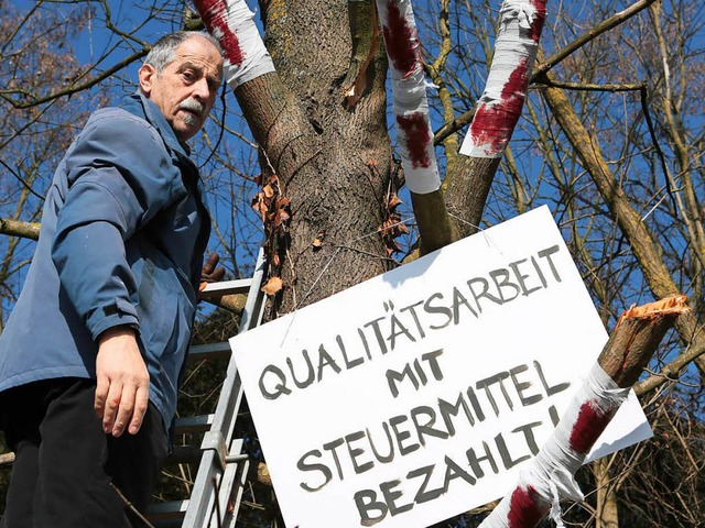 Der Knstler Kurt Hockenjos demonstrie...gegen einen verunglckten Baumschnitt.  | Foto: Christoph Breithaupt