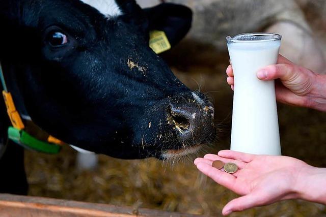Bauern bekommen mittlerweile mehr für die Milch