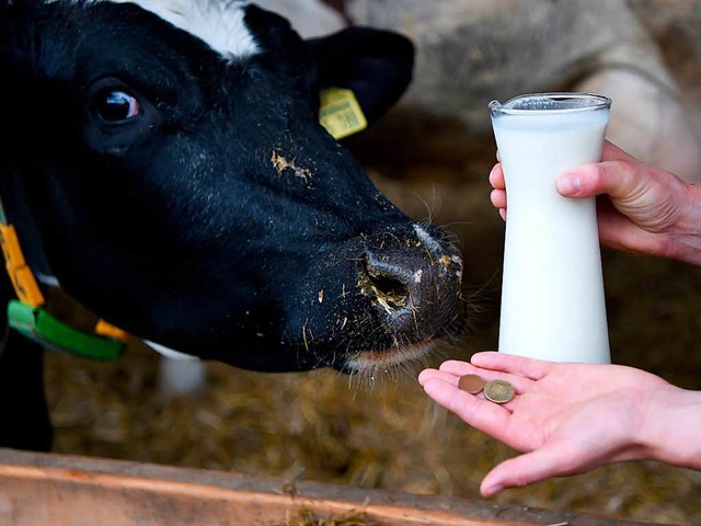 Die Milchwirtschaft ist fr die Landwirte wieder ein wenig lukrativer geworden.   | Foto: DPA