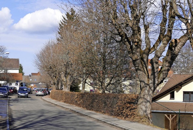 Keine Augenweide mehr: Die Bume der A...n Winter gefllt und ersetzt  werden.   | Foto: Martin Wunderle