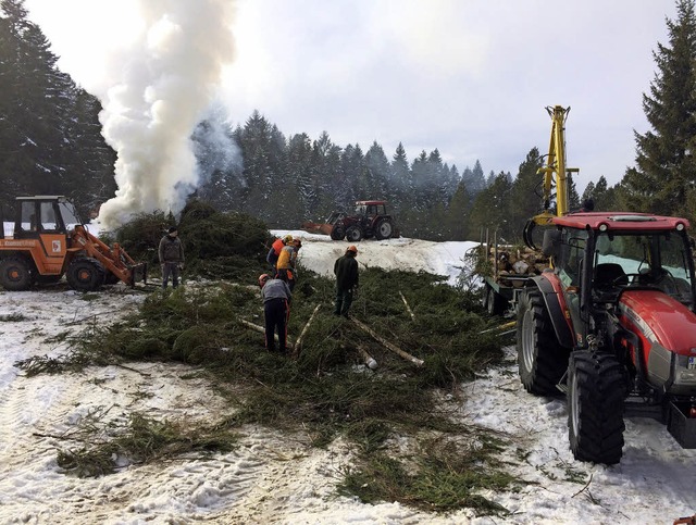 Um die selten gewordenen Moorkiefern z...moor im Strickwald wuchernde Fichten.   | Foto: privat