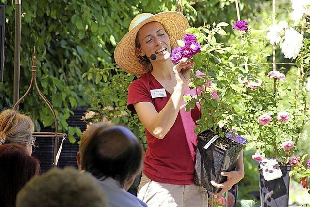 Frhlingsfrische Tipps zum Start ins Gartenjahr in Laufen