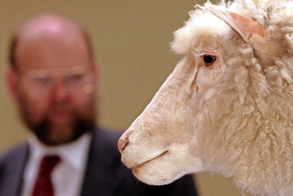 Vor 20 Jahren wurde Dolly zum ersten Mal der Öffentlichkeit präsentiert