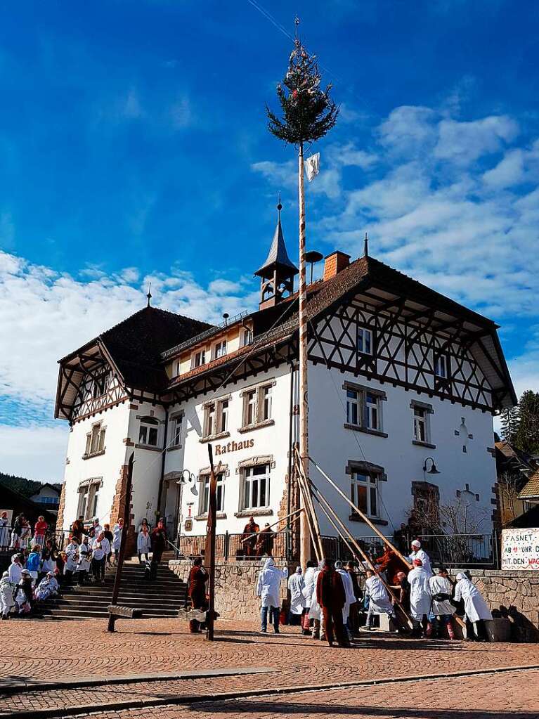 Auf dem Feldberger Rathausplatz haben die Bren gemeinsam mit den Feldberger Handwerkern den Narrenbaum aufgestellt.