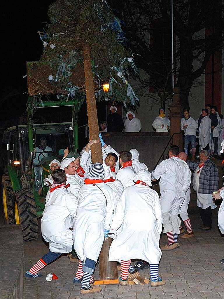 Der Narrenbaum wird mit vereinten Krften aufgestellt