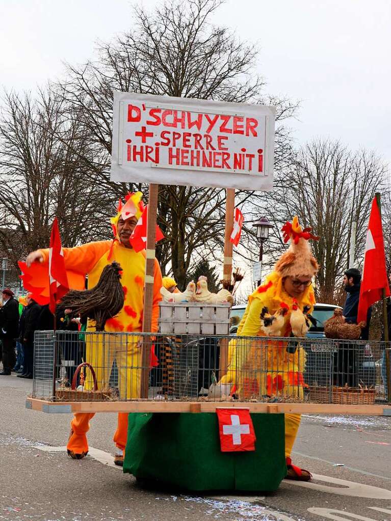 Impressionen vom Gndlinger Umzug