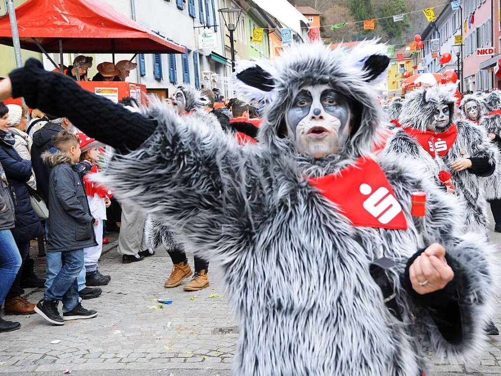 Tolle Wagen, ein frhlich lrmendes Fuvolk und begeistert mitfeiernde Zuschauer: Das ist der Fasnachtsumzug in der Schwanenstadt Zell.