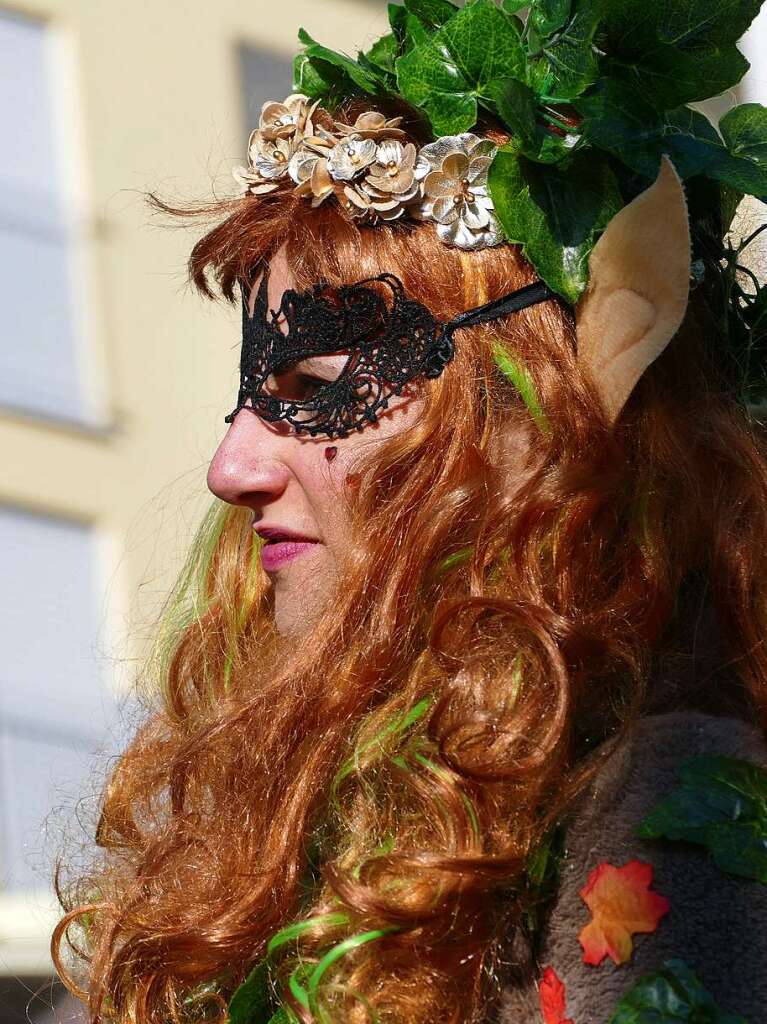 Traumhaftes Wetter beim Rosenmontagumzug in Denzlingen