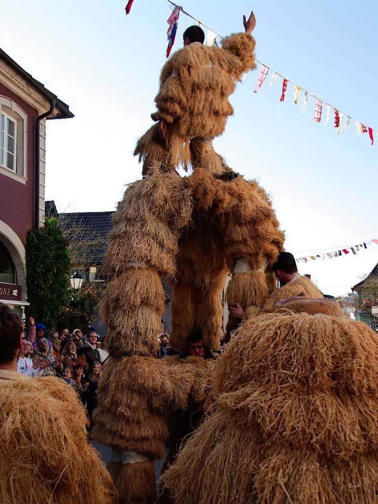 Sonne, Spa und Schabernack: Impressionen vom Heitersheimer Rosenmontagsumzug