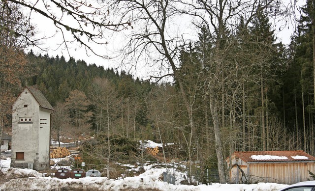 Schluchsee beantragt eine Waldumwandlu...egenrckhaltebeckens samt Zufahrten.    | Foto: Roswitha Klaiber