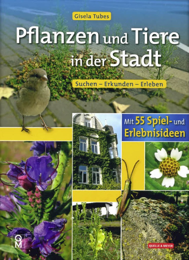   | Foto: Verlag