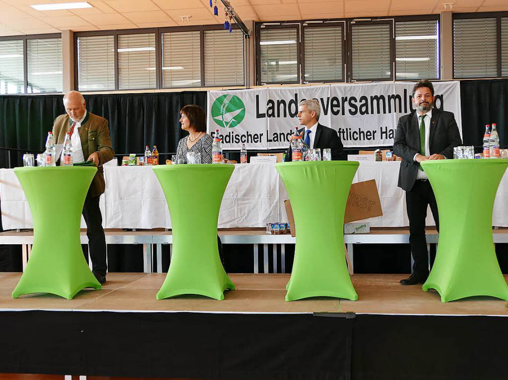 Kleine Podiumsdiskussion mit (v.li.): Friedrich Bullinger (FDP/MdL), Rosa Karcher (Landfrauenprsidentin), Paatrick Rapp (CDU/MdL) und Reinhold Pix (Grne/MdL).