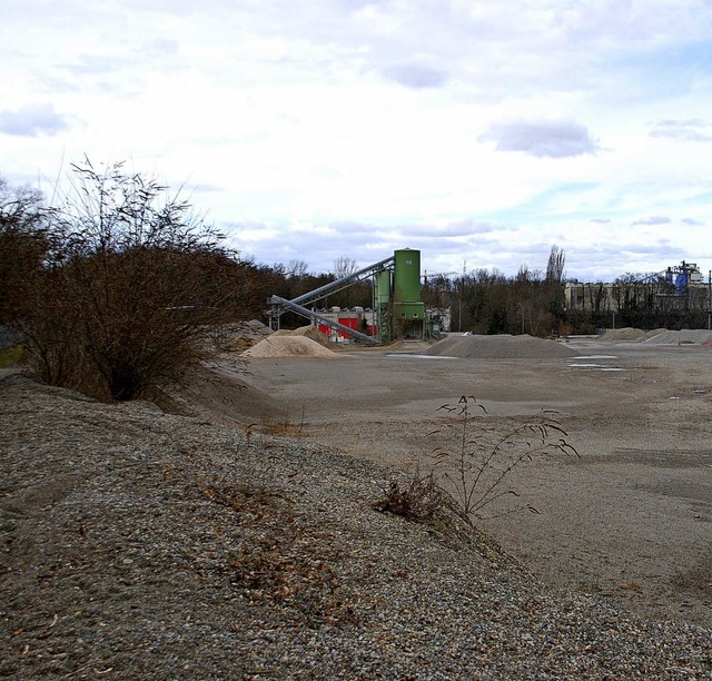 Rund ein Drittel des in der Region abg...sung neuer Flchen eine pikante Note.   | Foto: Ralf Staub