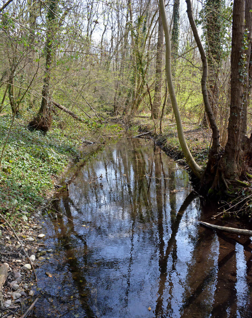 Krebsbach im neuen Bett Weil am Rhein Badische Zeitung
