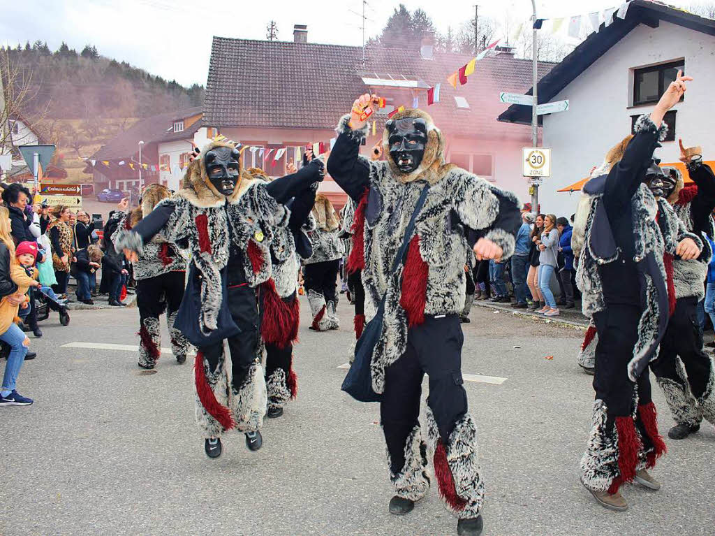 Eindrcke vom Burefasnachtsumzug in Hasel.