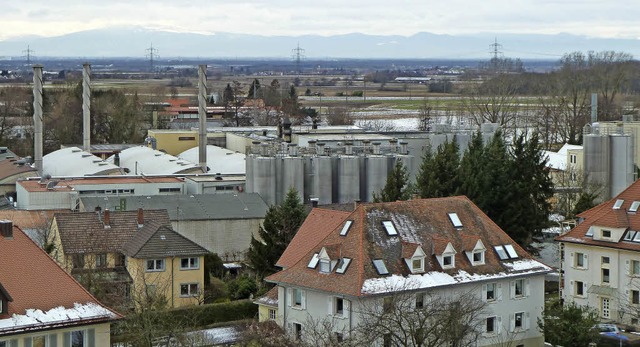 Drei 26 Meter hohe Schornsteine helfen...taufen jetzt gegen den fiesen Geruch.   | Foto: Brgerinitiative