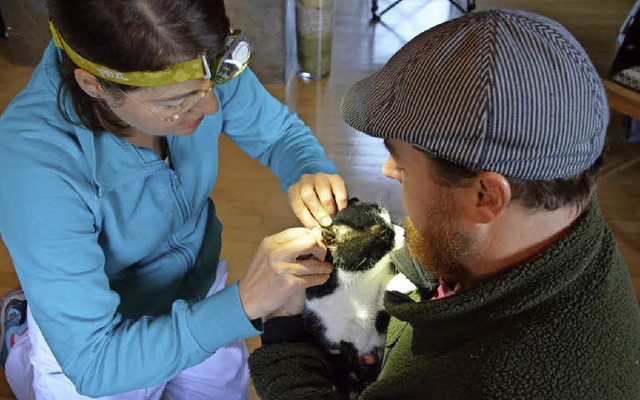 Tierrztin Jana Weber behandelt in Mn...initue, die eine Ohrenentzndung hat.   | Foto: Gabriele Hennicke