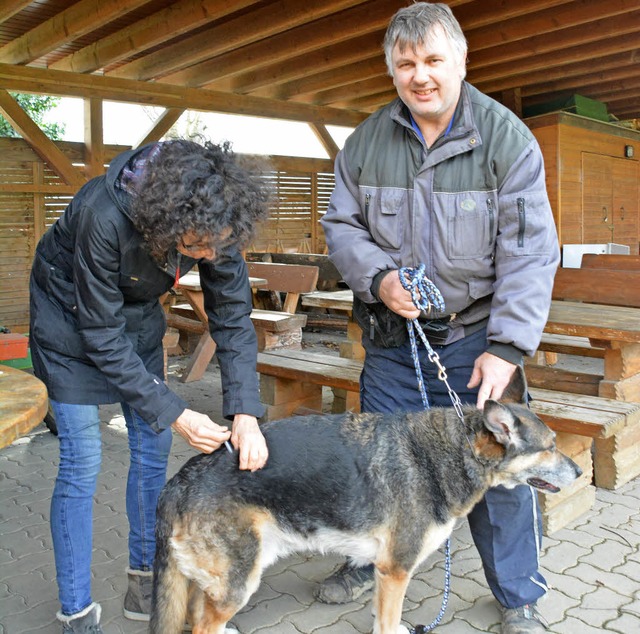 Claudia Schtz impft Hunde in stressfreier Umgebung.   | Foto: Hirschberger