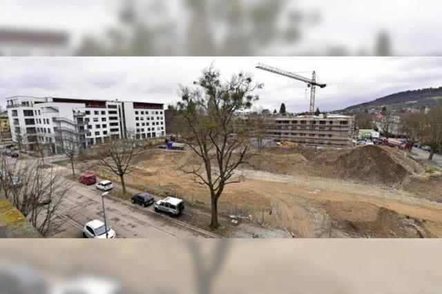 Im Quartier Neuburg sollen 100 neue Wohnungen gebaut werden - doch die Planungen sind langwierig