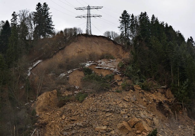 &#8222;Da brachen Felsbrocken so gro ...er Martin Schwenninger den Erdrutsch.   | Foto: Schwenninger